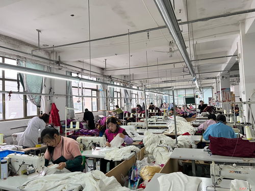 庄浪制衣厂 缝纫机声奏响“开门红” 数字工程织就发展新蓝图